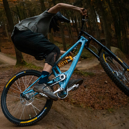 MTB rider in forest after winter bike maintenance