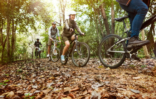 friends mountain biking in the forest