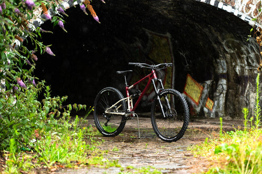 starling cycles mountain bike